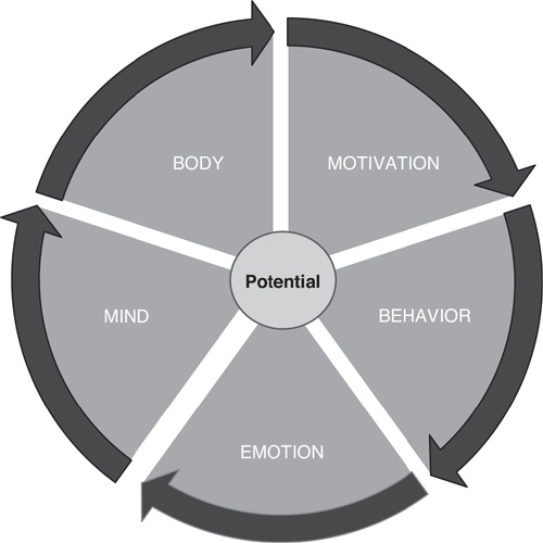 A circular pie-chart diagram in five segments, with arrows circling the perimeter, suggesting a dynamic flow between the segments and continuous interaction among the five parts of the self.