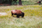 5 lessons from the last frontier, our brain